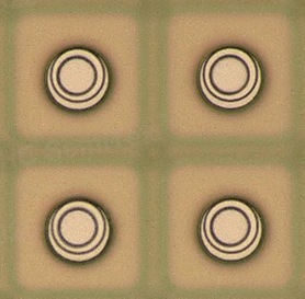BAU040C-ADG220